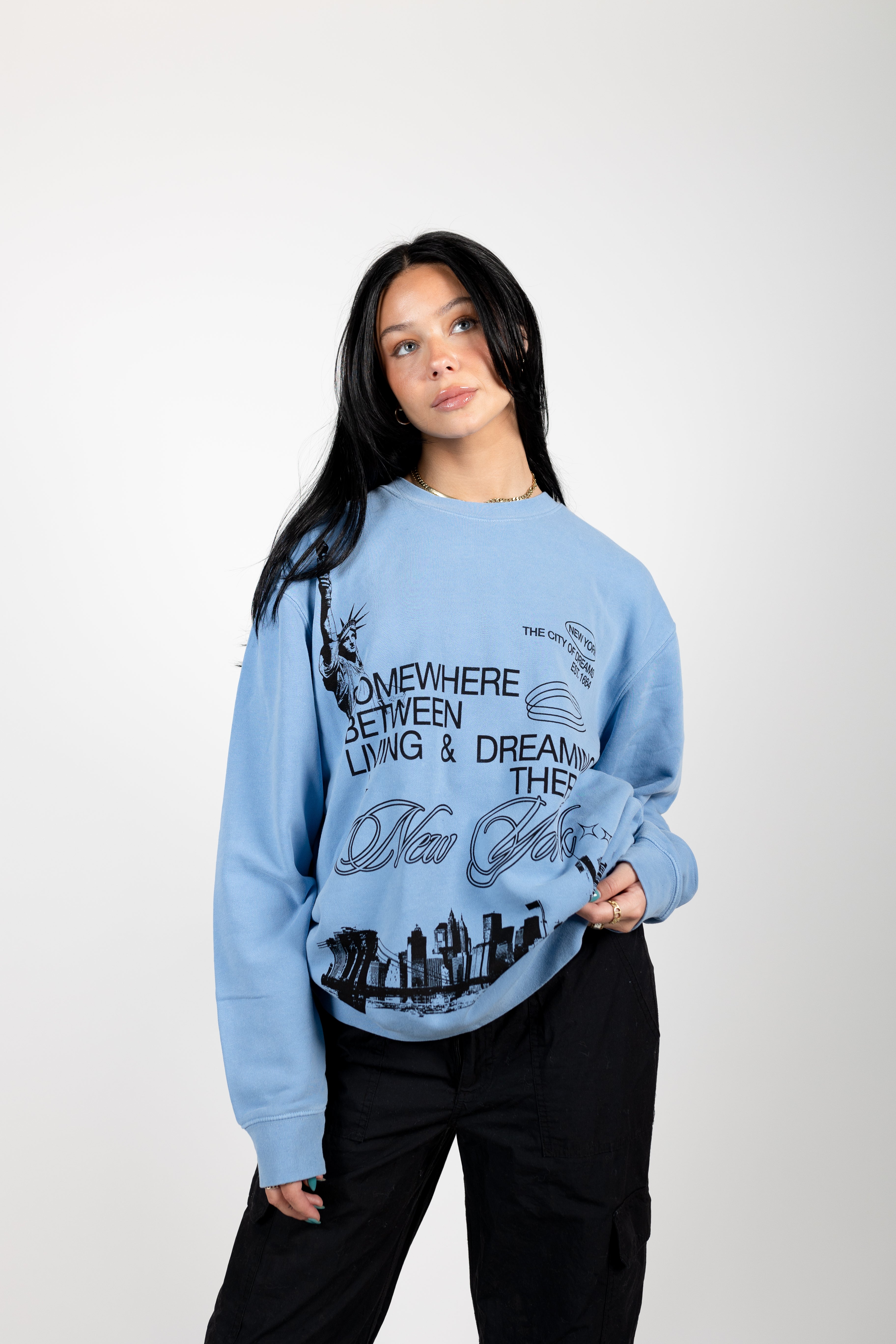 LIGHT BLUE NEW YORK CREWNECK – API The Label